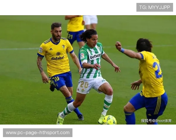 阿拉维斯若持续稳健,球队发展将进入良性循环 阿拉维斯若持续稳健,球队发展将进入良性循环